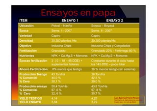 Ensayos en papa
ITEM ENSAYO 1 ENSAYO 2
Ubicación Potosí – Nariño Soraca – Boyacá
Época Seme. I – 2007 Seme. II - 2007
Variedad Capiro Capiro
Densidad 30.300 plantas /Ha 30.300 plantas/Ha
Objetivo Industria Chips Industria Chips y Congelados
Fertilización Granulado Granulado 20% - Fertirriego 80 %
Nutrientes NPK + Ca,Mg,S + Menores NPK + Ca,Mg,S + Menores
Nutrientes NPK + Ca,Mg,S + Menores NPK + Ca,Mg,S + Menores
Épocas fertilización 3 ( 0 – 18 – 45 DDE) +
suplementos foliares
Constante durante el ciclo hasta
los 145 DDE – poco foliar
Ahorro Fertilización. 8% menos que testigo 16 % menos testigo (sin sistema)
Producción Testigo
% Comercial
% Cero
43 Ton/Ha
45,0 %
30,1 %
36 Ton/Ha
42,5 %
30,0 %
Producción ensayo
% Comercial
% Cero
50,4 Ton/Ha
57 ,0 %
32, 6 %
43,8 Ton/Ha
57, 8 %
30,7 %
YIELD TESTIGO
YIELD ENSAYO
4,14
3,84
4,28
3,79
Luis Eghmad Yamil Rincón
Seminario de Agricultura de precisión.
Pasto, Nov. 19 – 20 de 2009.
 