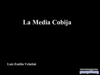 La Media CobijaLa Media Cobija
Luis Emilio VelutiniLuis Emilio Velutini
 
