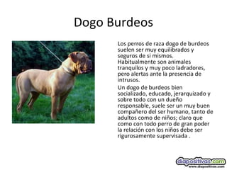Dogo Burdeos
Los perros de raza dogo de burdeos
suelen ser muy equilibrados y
seguros de si mismos.
Habitualmente son animales
tranquilos y muy poco ladradores,
pero alertas ante la presencia de
intrusos.
Un dogo de burdeos bien
socializado, educado, jerarquizado y
sobre todo con un dueño
responsable, suele ser un muy buen
compañero del ser humano, tanto de
adultos como de niños; claro que
como con todo perro de gran poder
la relación con los niños debe ser
rigurosamente supervisada .
 