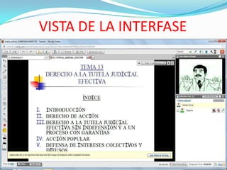 VISTA DE LA INTERFASE
 