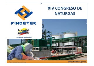 XIV CONGRESO DE
                                            NATURGAS




             Cartagena. Abril de 2011




Planta Biodiesel-Barrancabermeja                www.findeter.gov.co
 