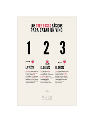 Luis Fernando Heras Portillo: Catar vinos, pasos básicos
