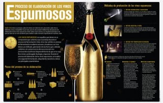 Luis Fernando Heras Portillo: Elaboración de vinos espumosos