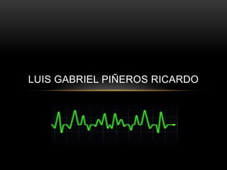 LUIS GABRIEL PIÑEROS RICARDO
 