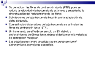  Se perjudican las fibras de contracción rápida (FTF), pues se
reduce la velocidad y la frecuencia de estímulos y se perturba la
sincronización del reclutamiento de las fibras.
 Solicitaciones de baja frecuencia llevarán a una adaptación de
dicha exigencia.
 Con estímulos sistemáticos de baja frecuencia se estimulan las
fibras de contracción lenta (STF).
 Un incremento en el Vo2max en solo un 2% debido a
entrenamientos aeróbicos lento, reduce drásticamente la velocidad
de contracción muscular.
 Las adaptaciones antes descriptas no se producen con el
entrenamiento intermitente especifico.
 
