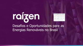 Desafios e Oportunidades para as
Energias Renováveis no Brasil
 