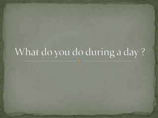 What do you do during a day ? 