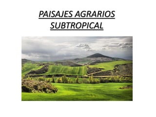 PAISAJES AGRARIOS
SUBTROPICAL
 
