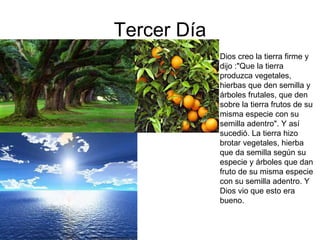Tercer Día Dios creo la tierra firme y dijo :"Que la tierra produzca vegetales, hierbas que den semilla y árboles frutales, que den sobre la tierra frutos de su misma especie con su semilla adentro". Y así sucedió. La tierra hizo brotar vegetales, hierba que da semilla según su especie y árboles que dan fruto de su misma especie con su semilla adentro. Y Dios vio que esto era bueno.  