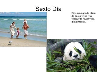 Sexto Día Dios creo a toda clase de seres vivos ,y al varón y la mujer y les dio alimento . 