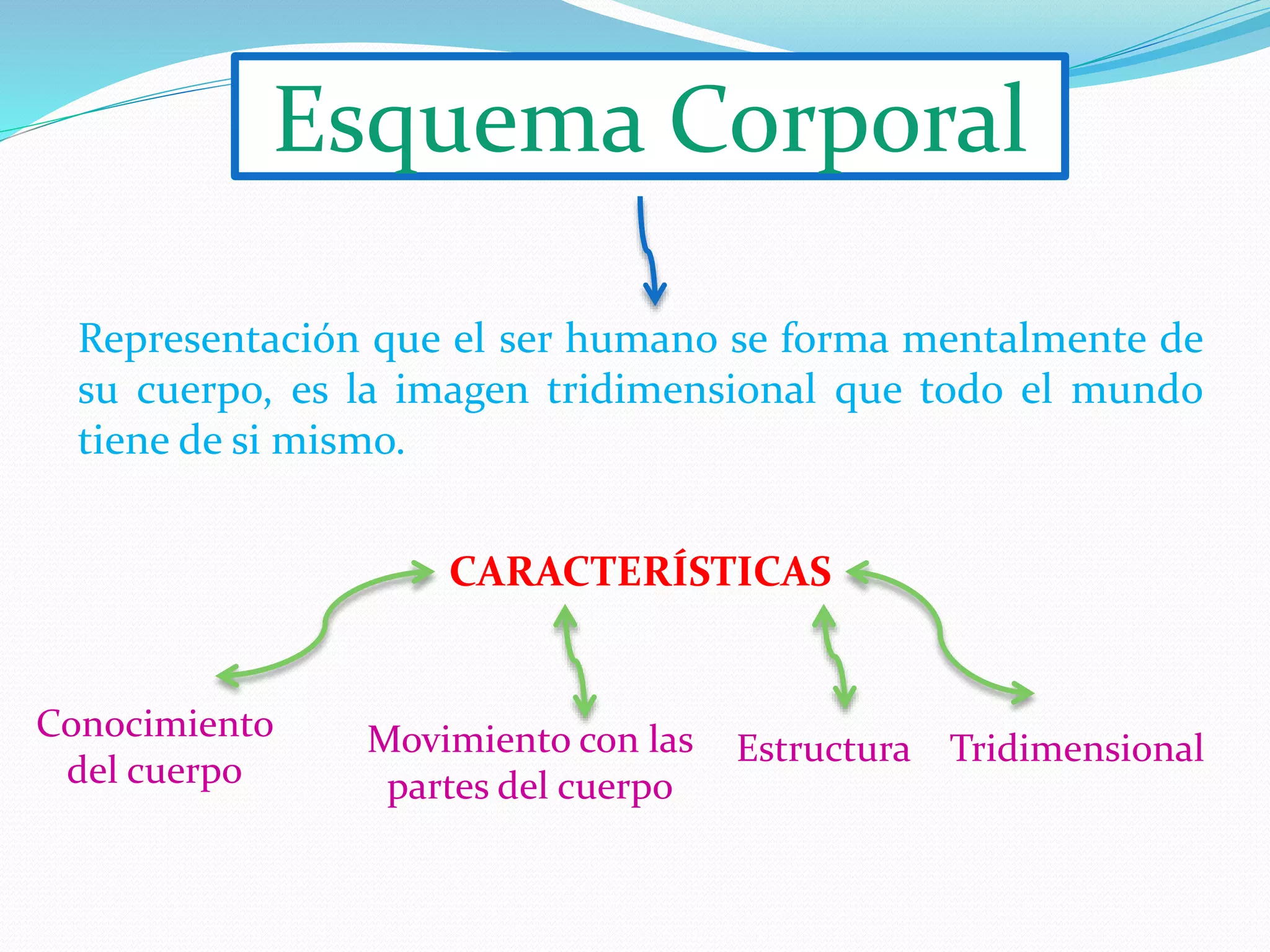 esquemas e imagen corporal | PPT