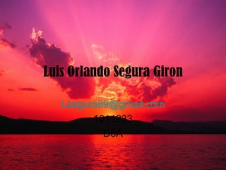 Luis Orlando Segura Giron [email_address] 1011233 D6A 