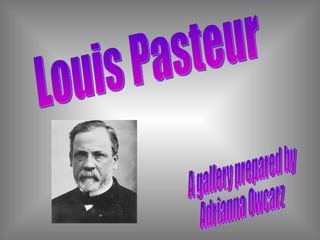 Louis Pasteur A gallery prepared by Adrianna Owcarz 