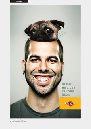 Pedigree
Pedigree - Brand Campaign
Point of sales and Social media
 
