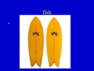 fish 