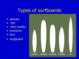 Types of surfboards standar   fish  Mini malibu evolutiva Gun longboard   