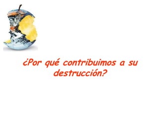 ¿Por qué contribuimos a su
       destrucción?
 