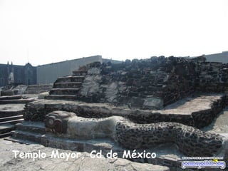 Templo Mayor, Cd de México
 