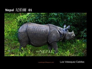 Nepal 尼伯爾 01




               Luis Velasquez Cabillas
 