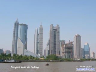Shaghai zona de Pudong.
 