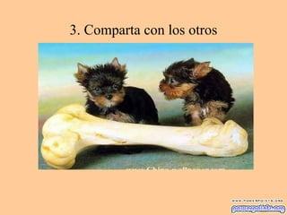 3. Comparta con los otros
 
