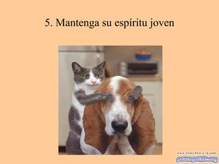 5. Mantenga su espíritu joven
 