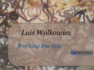 Luis Wolkowiez
Working For You
 