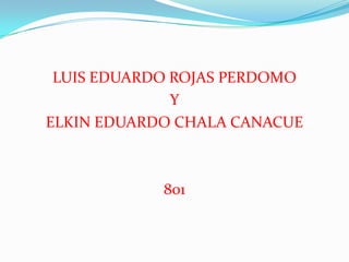 LUIS EDUARDO ROJAS PERDOMO
Y
ELKIN EDUARDO CHALA CANACUE

801

 