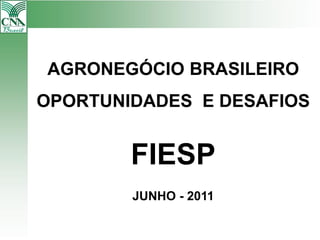 AGRONEGÓCIO BRASILEIRO
OPORTUNIDADES E DESAFIOS


        FIESP
        JUNHO - 2011
 
