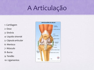 A	
  Articulação	
  

1-­‐	
  Cartilagem	
  
2-­‐	
  Osso	
  
3-­‐	
  Sinóvia	
  
4-­‐	
  Liquido	
  sinovial	
  
5-­‐	
  Cápsula	
  articular	
  
6-­‐	
  Menisco	
  
7-­‐	
  Músculo	
  
8-­‐	
  Bursa	
  
9-­‐	
  Tendão	
  
10-­‐	
  Ligamentos	
  
 
