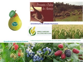 Caderno de Especificações Arroz Carolino das Lezírias Ribatejanas - Indicação Geográfica Protegida 
DENOMINAÇÃO DE ORIGEM PROTEGIDA 
Diversificação da Produção Frutícola 
 