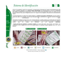 Como se ha explicado a partir de la inscripción, se recoge toda la información de manera individualizada para cada ternero, quedando registrada en una base de datos informatizada, que periódicamente se cruza con el SIMOGAN para realizar el seguimiento de cada ternero, ya que como mínimo ha de permanecer junto a su madre los cinco primeros meses de vida, pues el Reglamento de la I.G.P. exige de forma obligatoria, este periodo de amamantamiento natural. El Consejo Regulador en el Manual de Calidad establece un sistema de marcado e identificación, para las canales y piezas que vayan a ser protegidas, de forma que esté garantizada su identificación en cualquier momento del faenado y comercialización de la carne. Únicamente se Certifican al amparo de la I.G.P. “Ternera Asturiana”, aquellas canales que cumplen todos los requisitos recogidos en su Reglamento, además de las normas establecidas por el Consejo Regulador en el Manual de Calidad y cuando esto se cumple, se identifican con los siguientes distintivos: - Cuatro precintos de polietileno y armadura metálica, uno para cada cuarto, color amarillo, de 31x18mm, con numeración y con el logotipo de la I.G.P. en la parte anterior y la leyenda Consejo Regulador de la I.G.P. en la posterior.  