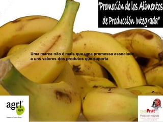 Uma marca não é mais que uma promessa associada 
a uns valores dos produtos que suporta 
 