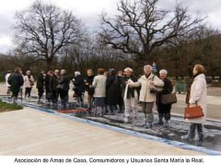 Asociación de Amas de Casa, Consumidores y Usuarios Santa María la Real.  