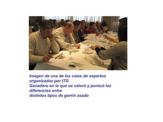 Imagen de una de las catas de expertos 
organizadas por ITG 
Ganadero en la que se valoró y puntuó las 
diferencias entre 
distintos tipos de gorrín asado 
 