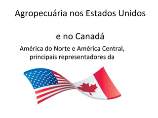 Agropecuária nos Estados Unidos

             e no Canadá
 América do Norte e América Central,
   principais representadores da
            agropecuária
 