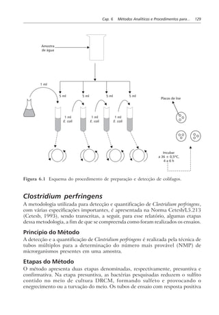 Cap. 6 Métodos Analíticos e Procedimentos para... 129
Incubar
a 36 ± 0,5ºC,
4 a 6 h
5 ml 5 ml 5 ml 5 ml
1 ml
E. coli
1 ml
E. coli
1 ml
E. coli
1 ml
Placas de lise
Amostra
de água
Figura 6.1 Esquema do procedimento de preparação e detecção de colifagos.
Clostridium perfringens
A metodologia utilizada para detecção e quantificação de Clostridium perfringens,
com várias especificações importantes, é apresentada na Norma Cetesb/L5.213
(Cetesb, 1993), sendo transcritas, a seguir, para esse relatório, algumas etapas
dessa metodologia, a fim de que se compreenda como foram realizados os ensaios.
Princípio do Método
A detecção e a quantificação de Clostridium perfringens é realizada pela técnica de
tubos múltiplos para a determinação do número mais provável (NMP) de
microrganismos presentes em uma amostra.
Etapas do Método
O método apresenta duas etapas denominadas, respectivamente, presuntiva e
confirmativa. Na etapa presuntiva, as bactérias pesquisadas reduzem o sulfito
contido no meio de cultura DRCM, formando sulfeto e provocando o
enegrecimento ou a turvação do meio. Os tubos de ensaio com resposta positiva
 