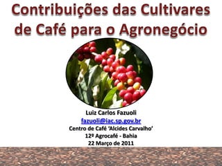 Luiz Carlos Fazuoli
    fazuoli@iac.sp.gov.br
Centro de Café ‘Alcides Carvalho’
      12º Agrocafé - Bahia
       22 Março de 2011
 