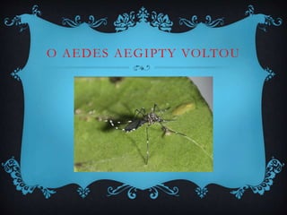 O AEDES AEGIPTY VOLTOU
 