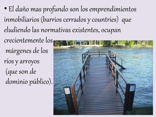 • El daño mas profundo son los emprendimientos
inmobiliarios (barrios cerrados y countries) que
eludiendo las normativas existentes, ocupan
crecientemente los
márgenes de los
ríos y arroyos
(que son de
dominio público).
 