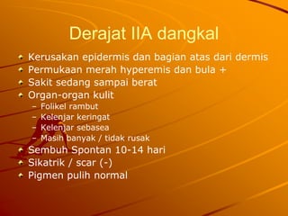 Derajat IIA dangkal
Kerusakan epidermis dan bagian atas dari dermis
Permukaan merah hyperemis dan bula +
Sakit sedang sampai berat
Organ-organ kulit
– Folikel rambut
– Kelenjar keringat
– Kelenjar sebasea
– Masih banyak / tidak rusak
Sembuh Spontan 10-14 hari
Sikatrik / scar (-)
Pigmen pulih normal
 