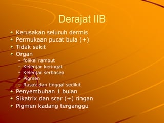 Derajat IIB
Kerusakan seluruh dermis
Permukaan pucat bula (+)
Tidak sakit
Organ
– folikel rambut
– Kelenjar keringat
– Kelenjar serbasea
– Pigmen
– Rusak dan tinggal sedikit
Penyembuhan 1 bulan
Sikatrix dan scar (+) ringan
Pigmen kadang terganggu
 
