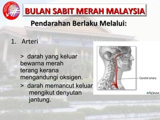 Pendarahan Berlaku Melalui: 1. Arteri >  darah yang keluar    bewarna merah      terang kerana      mengandungi oksigen. >  darah memancut keluar    mengikut denyutan      jantung. 