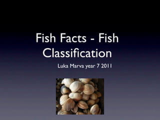 Fish Facts - Fish
 Classiﬁcation
    Luka Marva year 7 2011
 