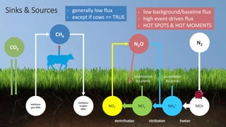 Greenhouse gas fluxes over managed grasslands in Central Europe
