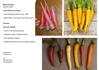 Möhre/ Karotte
Daucus carota
Jeune Obtuse du Doubs
- alte französische Sorte um ca. 1896
- gelbe Farbe, sehr süßer, feiner Geschmack
Urmöhre
Syrische Violette
- schon in der Steinzeit genutzt
- prägnante violett / schwarze Farbe
- Kern läuchtend orange
- Farbstoff Antholycan auch zum färben genutzt
Bezugsquelle
ochsenherz.at
Info:
die-Bioküche.de
Ven Saatgutliste
 