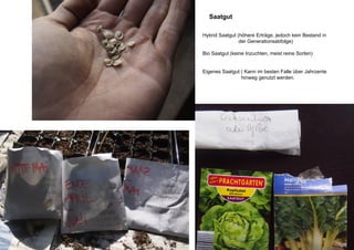 Saatgut
Hybrid Saatgut (höhere Erträge, jedoch kein Bestand in 	
		 der Generationsabfolge)
Bio Saatgut (keine Inzuchten, meist reine Sorten)
Eigenes Saatgut ( Kann im besten Falle über Jahrzente 	
		 hinweg genutzt werden.
 