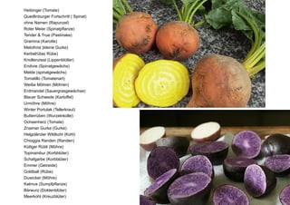 Heibinger (Tomate)
Quedlinburger Fortschritt ( Spinat)
ohne Namen (Rapunzel)
Roter Meier (Spinatpflanze)
Tender & True (Pastinake)
Gramina (Karotte)
Melothria (kleine Gurke)
Kerbelrübe( Rübe)
Knollenziest (Lippenblütler)
Endivie (Spinatgewächs)
Melde (spinatgewächs)
Tomatillo (Tomatenart)
Weiße Möhren (Möhren)
Erdmandel (Sauergrasgewächse)
Blauer Schwede (Kartoffel)
Urmöhre (Möhre)
Winter Portulak (Tellerkraut)
Butterrüben (Wurzelnkolle)
Ochsenherz (Tomate)
Znaimer Gurke (Gurke)
Helgoländer Wildkohl (Kohl)
Chioggia Randen (Randen)
Küttger Rübli (Möhre)
Topinambur (Korbblüter)
Schafgarbe (Korbblüter)
Emmer (Getreide)
Goldball (Rübe)
Duwicker (Möhre)
Kalmus (Sumpfpflanze)
Bärwurz (Doldenblüter)
Meerkohl (Kreuzblüter)
 