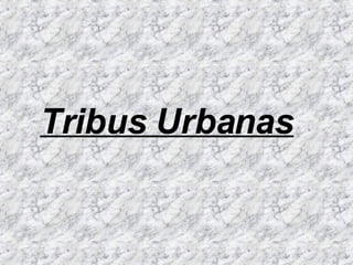 Tribus Urbanas   