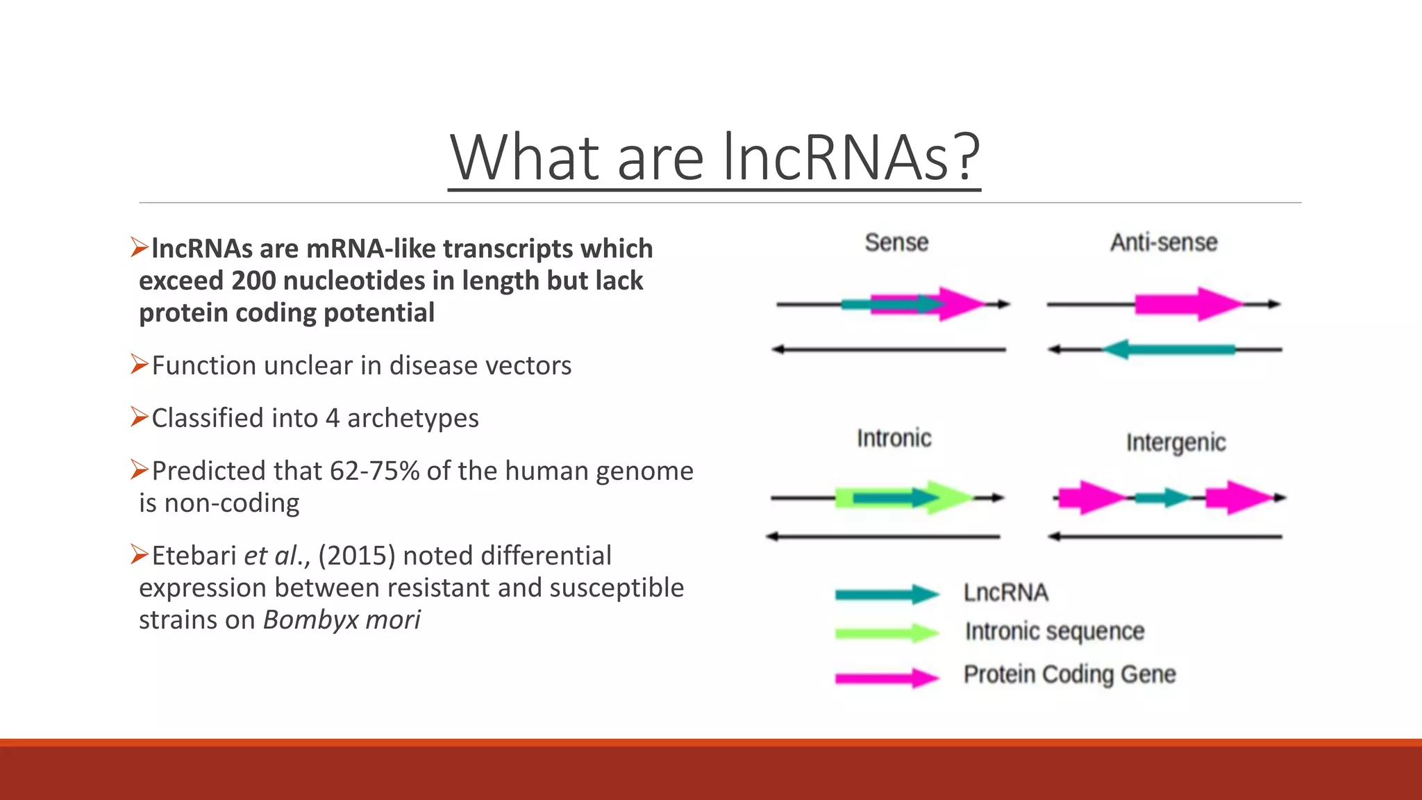 What are lncRNAs?
lncRNAs are mRNA-like transcripts which
exceed 200 nucleotides in length but lack
protein coding potential
Function unclear in disease vectors
Classified into 4 archetypes
Predicted that 62-75% of the human genome
is non-coding
Etebari et al., (2015) noted differential
expression between resistant and susceptible
strains on Bombyx mori
 